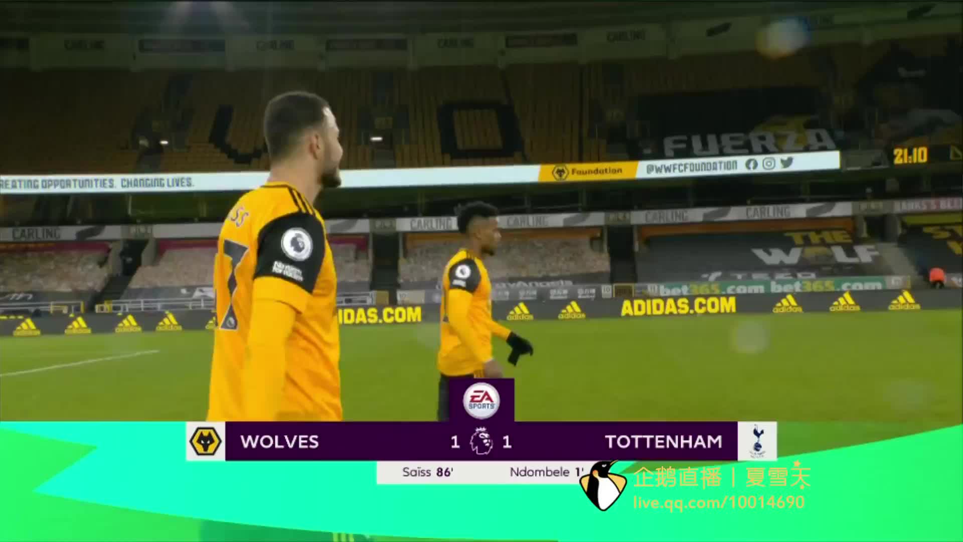 现和栽培年 现和栽培年