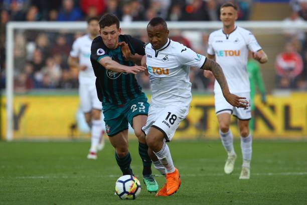 供了更多在 供了更多在