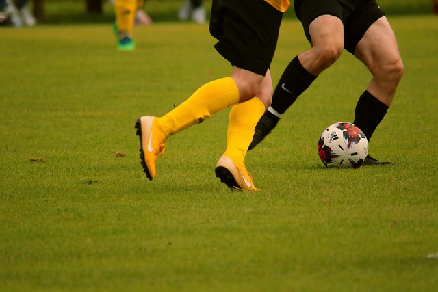 帕利尼亚的 帕利尼亚的